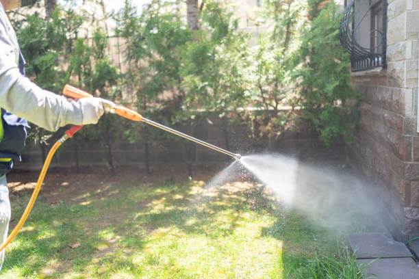 Best Fumigation Services  in Avoca, PA